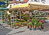 Blumenzelt - Verkaufsstand eines Floristen am Wiener Platz in München