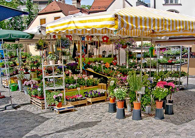Blumenzelt - Verkaufsstand eines Blumenhandels am Wiener Platz in München