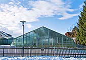 Glashaus einer G�rtnerei in Ismaning