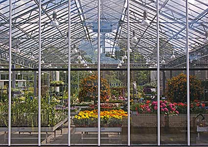 Glashaus des Daglfinger Blumenmarktes