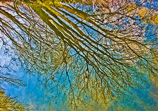 Spiegelungen - Kanal bei Dirnismaning im Frühling