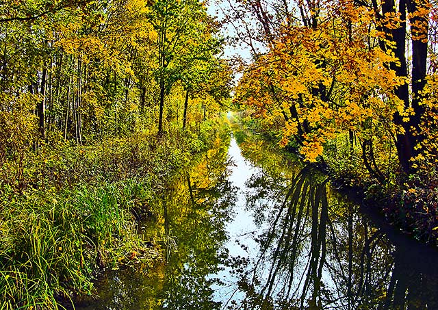 Kanal bei Dirnismaning im Herbst