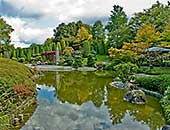 Bonn, Rheinaue: Japanischer Garten im Herbst