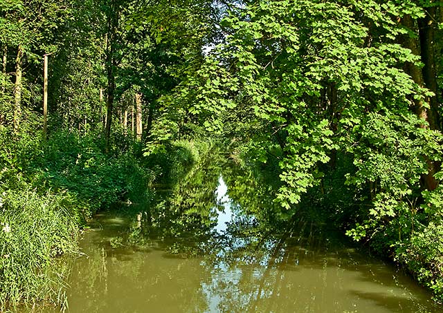 Kanal bei Dirnismaning im Sommer