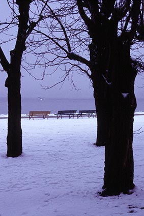 Starnberger See - Winter an der Uferpromenade in Starnberg