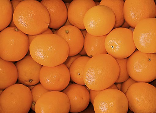 Orangen in der Steige