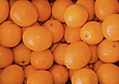 Orangen in der Steige eines H�ndlers in Waldtrudering