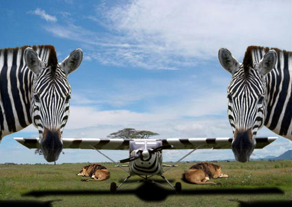 Serengeti lebt