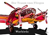 Der Traum vom Fliegen - Luftverkehr: Warbirds - Engel des Krieges mit Feuer und Tod