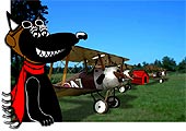 Dogfighting WWI-Flying Aces