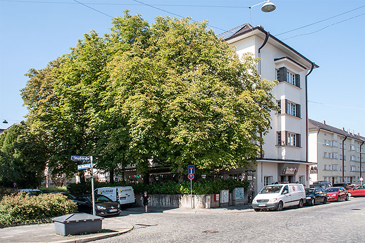 Auf der Westseite der Stupfstraße wird die Schluderstraße umbenannt in 'Zum Künstlerhof' und endet als Sackgasse. - Am östlichen Anfang dieser Sackgasse findet sich das zweite der drei verbliebenen Restaurants, dem ein kleiner Biergarten angeschlossen ist.